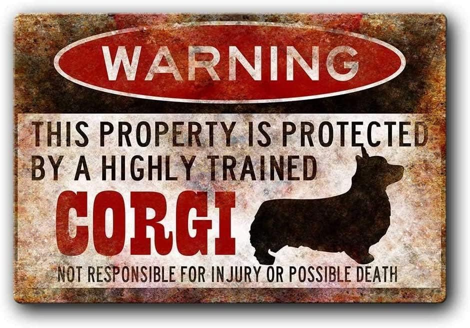 DAOLEG Warning Corgi Metal Pla - Retro Gaming Bar ulasan dan harga